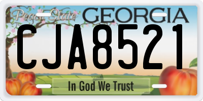 GA license plate CJA8521