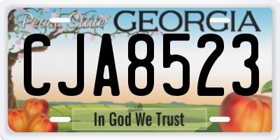 GA license plate CJA8523