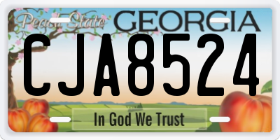GA license plate CJA8524