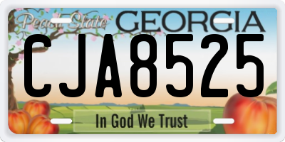 GA license plate CJA8525