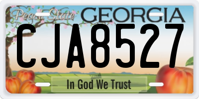 GA license plate CJA8527