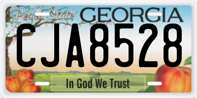 GA license plate CJA8528