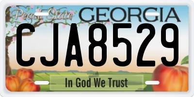 GA license plate CJA8529
