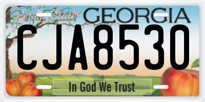 GA license plate CJA8530