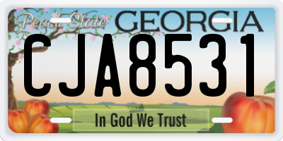 GA license plate CJA8531