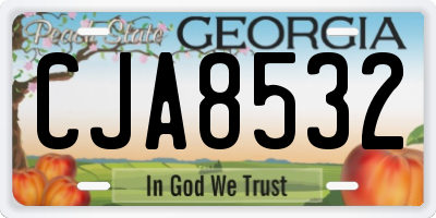 GA license plate CJA8532