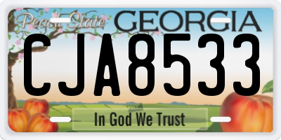 GA license plate CJA8533