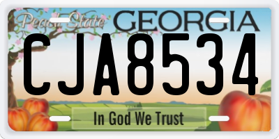 GA license plate CJA8534