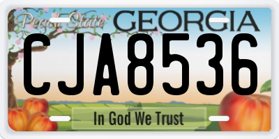 GA license plate CJA8536