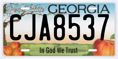 GA license plate CJA8537