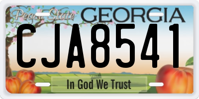 GA license plate CJA8541