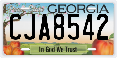 GA license plate CJA8542