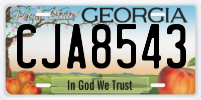 GA license plate CJA8543