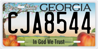GA license plate CJA8544
