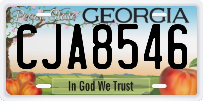 GA license plate CJA8546