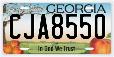 GA license plate CJA8550