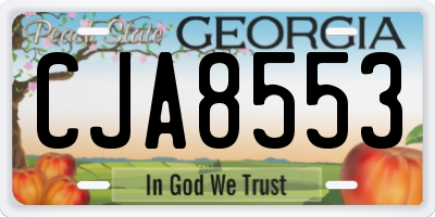 GA license plate CJA8553