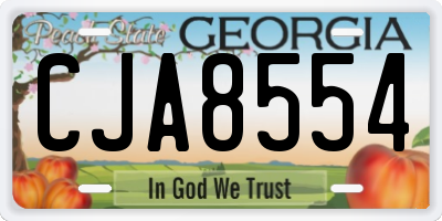 GA license plate CJA8554