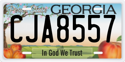 GA license plate CJA8557