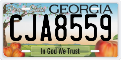 GA license plate CJA8559