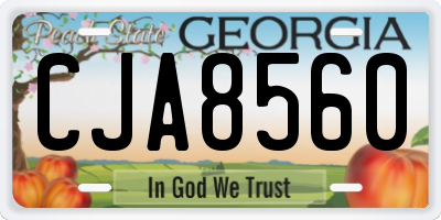 GA license plate CJA8560