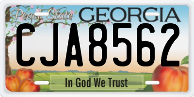 GA license plate CJA8562