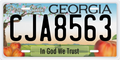 GA license plate CJA8563