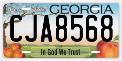 GA license plate CJA8568
