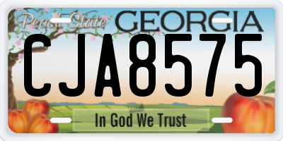GA license plate CJA8575
