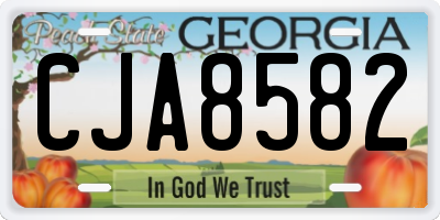 GA license plate CJA8582