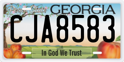 GA license plate CJA8583