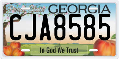 GA license plate CJA8585