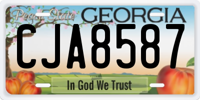 GA license plate CJA8587