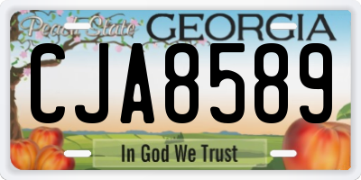 GA license plate CJA8589