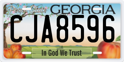 GA license plate CJA8596