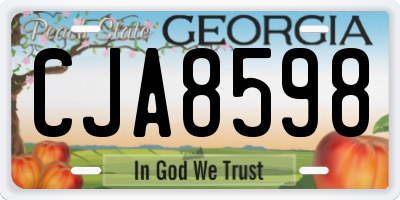 GA license plate CJA8598