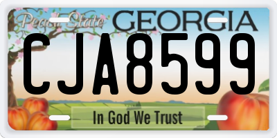 GA license plate CJA8599
