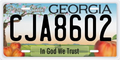 GA license plate CJA8602