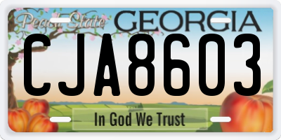 GA license plate CJA8603