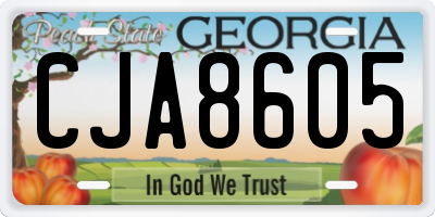 GA license plate CJA8605