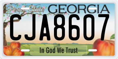 GA license plate CJA8607