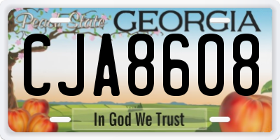 GA license plate CJA8608