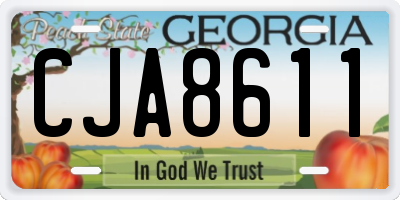 GA license plate CJA8611