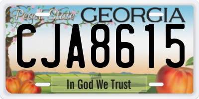 GA license plate CJA8615