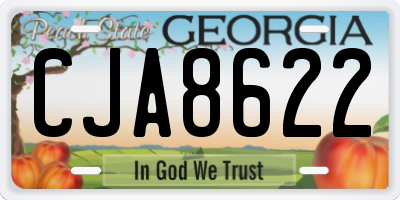 GA license plate CJA8622