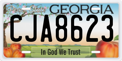 GA license plate CJA8623