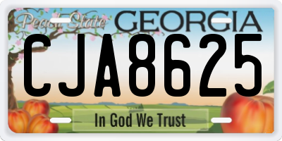 GA license plate CJA8625