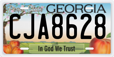 GA license plate CJA8628