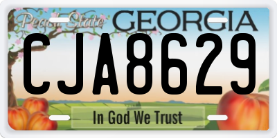 GA license plate CJA8629