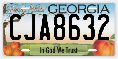 GA license plate CJA8632